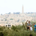 Mt. Olives Harvest - MEJDI Tours